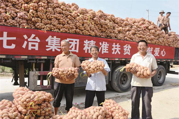 十七冶駐村扶貧工作隊幫助貧困戶銷售馬鈴薯側記_副本.jpg