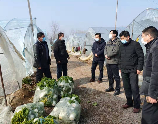 定遠縣農業農村局積極做好農業生產穩保供.jpg 定遠縣農業農村局積極做好農業生產穩保供.jpg