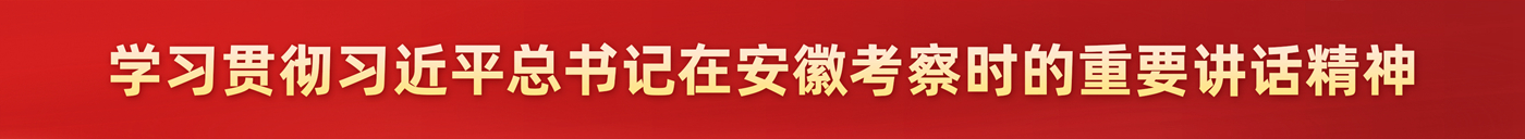 學習貫徹習近平總書記考察安徽重要講話精神